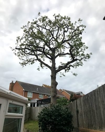 673e1730ae1fc-1732122416