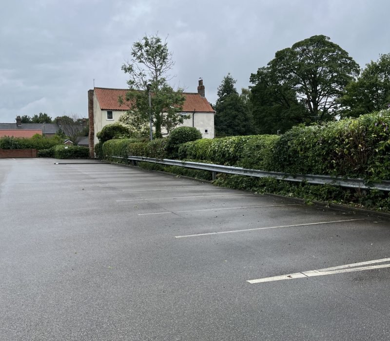 Hedge Cutting Service in Driffield (2)