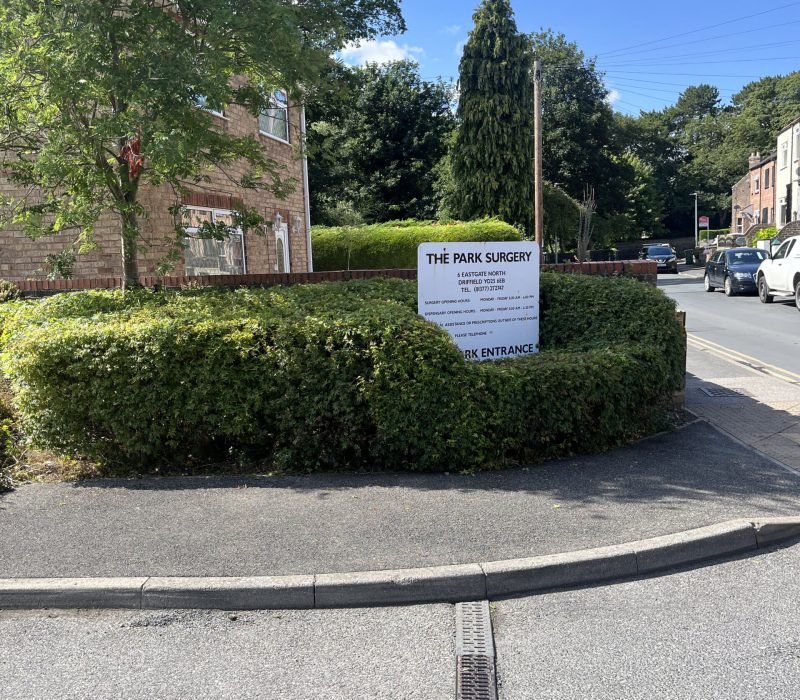 Hedge Cutting Service in Driffield